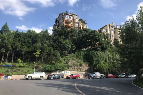 成都有哪些房产公司