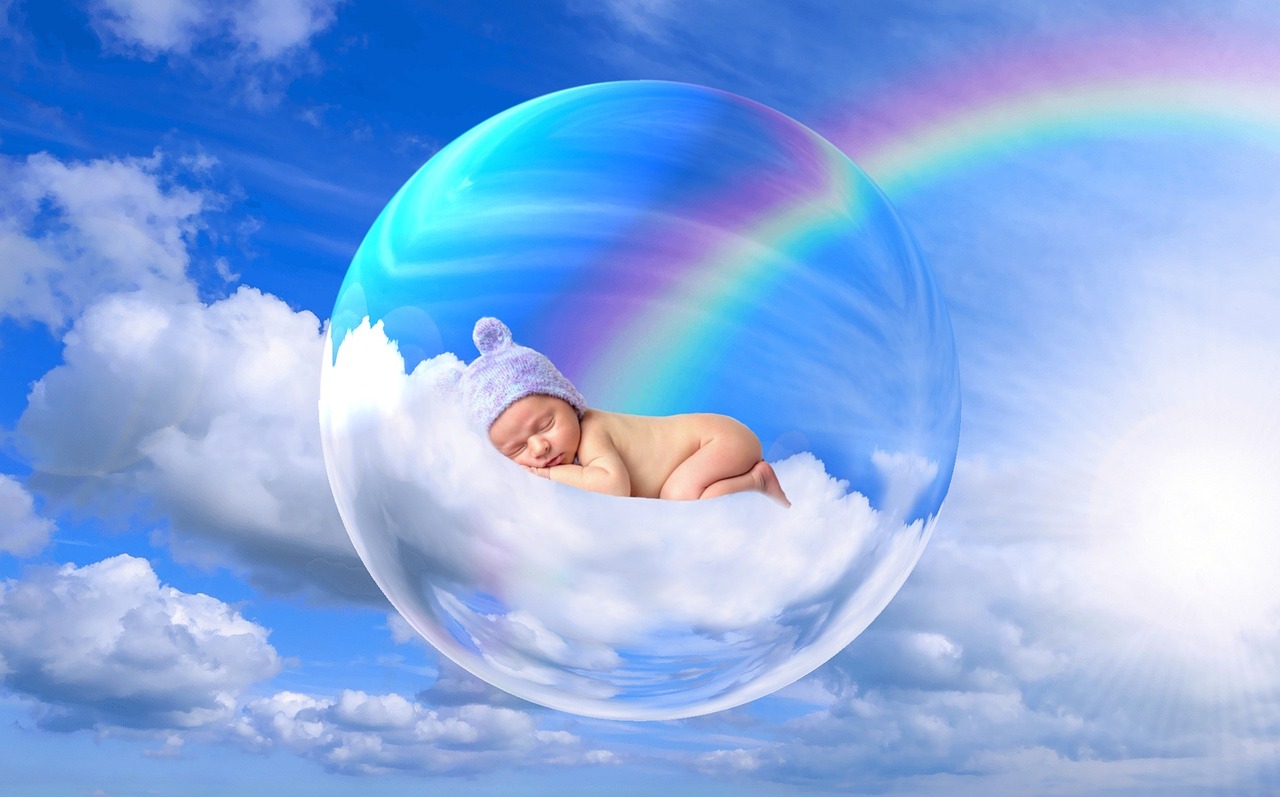 揭秘海洋之宝，探索海贝官方网站的奇妙世界——揭秘海洋生物的微观艺术与科普宝库